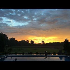 Meet your Posher, Danica